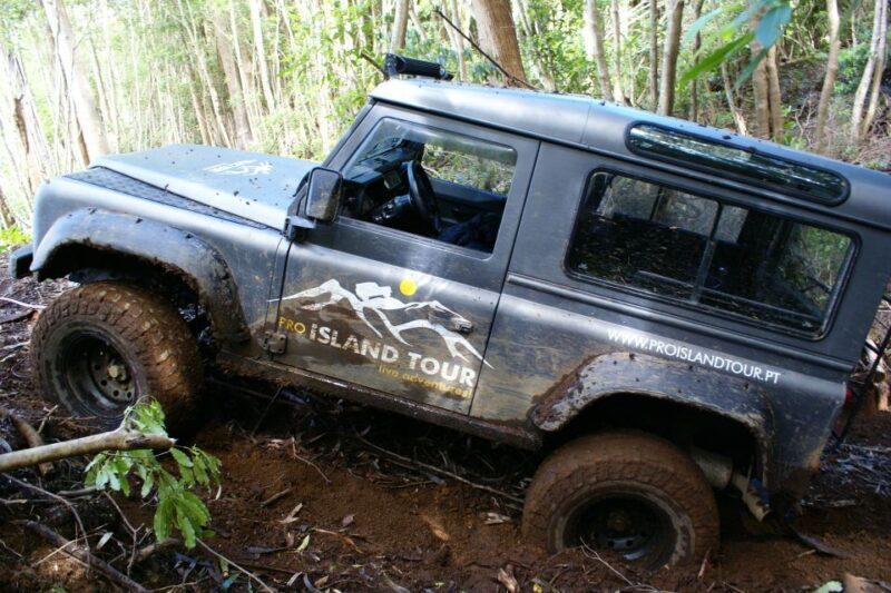 Terceira Island: Full-Day Mud Adventure & Traditional Lunch - Who Is This Tour Best For?