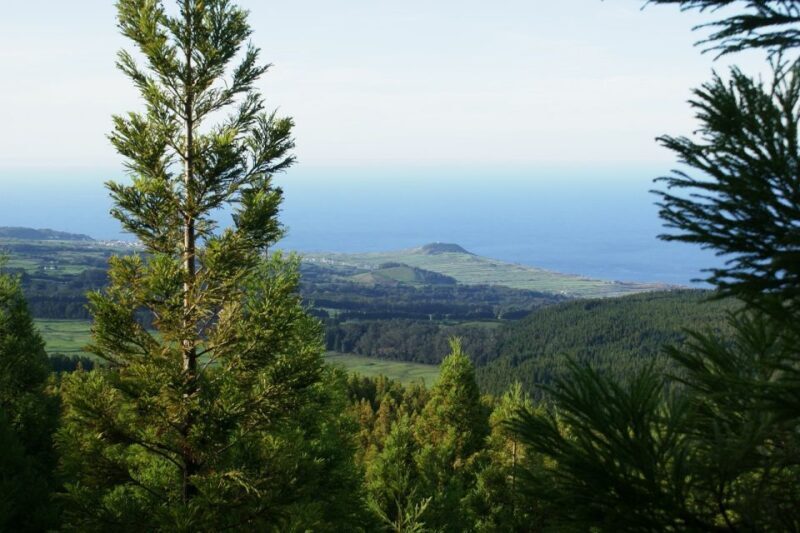 Terceira Island: Half-Day 4X4 Tour - Why Choose the Terceira Island Half-Day 4X4 Tour?