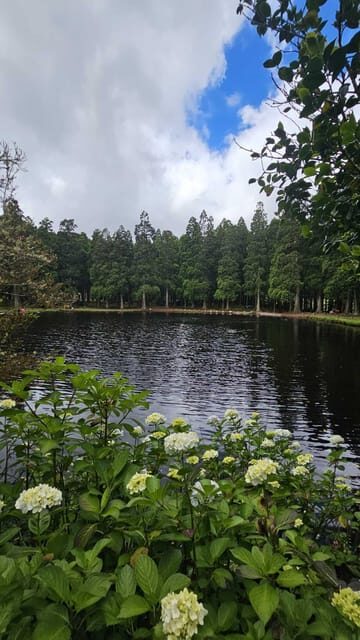 Terceira Island : Half-Day Van Tour to the Caves - Final Thoughts