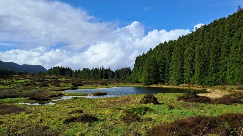 Terceira Island: Highlights Tour with Traditional Lunch - Breaking Down the Itinerary