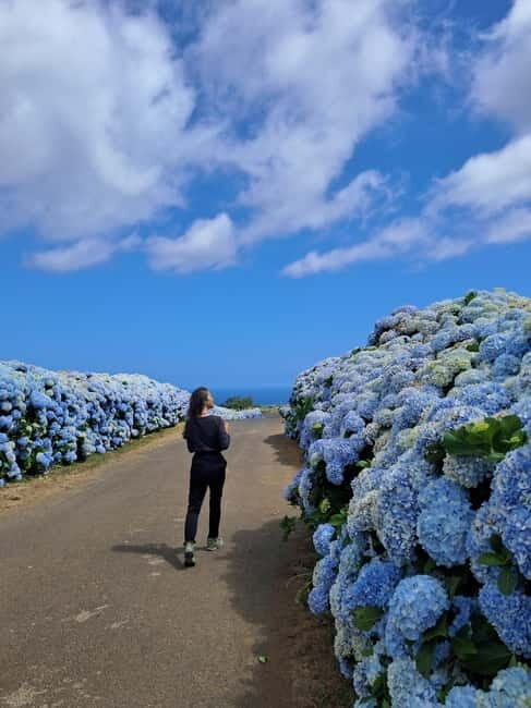 Terceira Island: Highlights Tour with Traditional Lunch - Who Will Love This Tour?