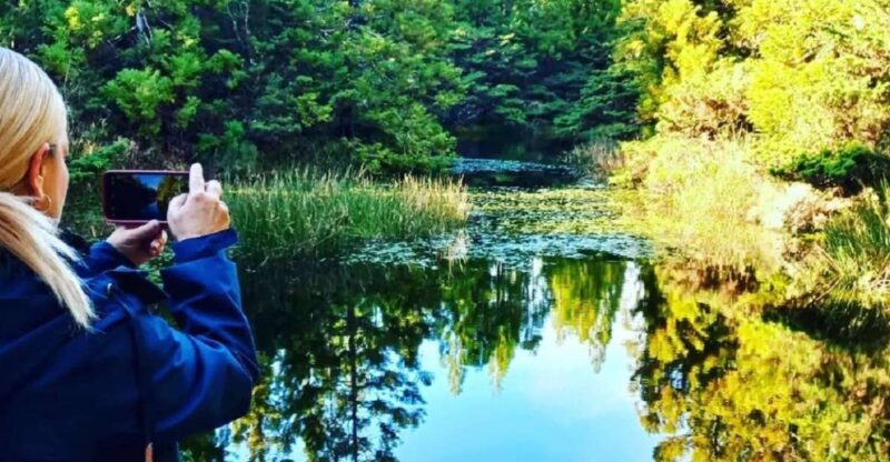 Terceira Island : Hiking Trail Mistérios Negros - What to Expect on the Hike