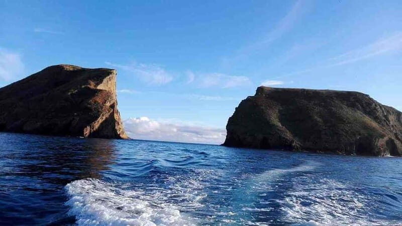 Terceira Island: Ilhéu das Cabras Boat Tour + Snorkeling - Key Points