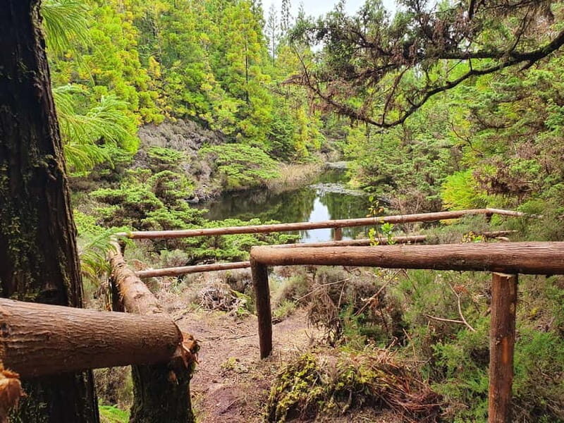 Terceira Island: Mistérios Negros & Mist. Novo Hike w/picnic - The Journey Through Volcanic Landscapes and Cloud Forests