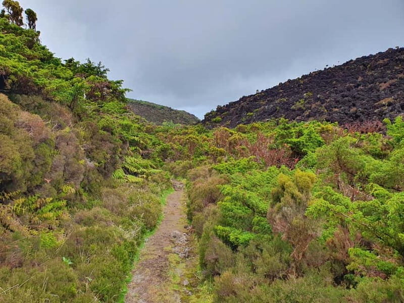 Terceira Island: Mistérios Negros & Mist. Novo Hike w/picnic - Continuing with the Mistério Novo Trail
