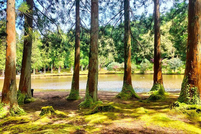 Terceira Island Private Full-Day Slow Tour with Lunch and Pickup - Starting Point and First Impressions