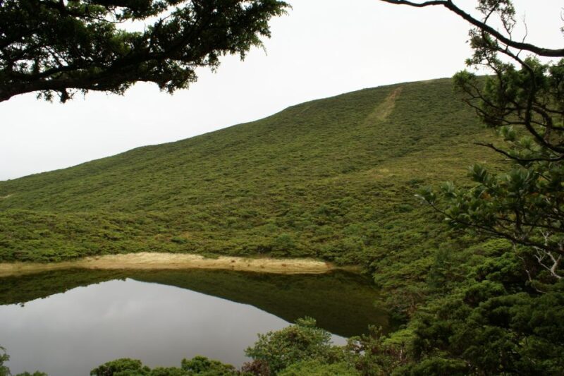 Terceira Island: Walking Trails Hiking Tour - A Walk Through Terceira’s Natural Wonders