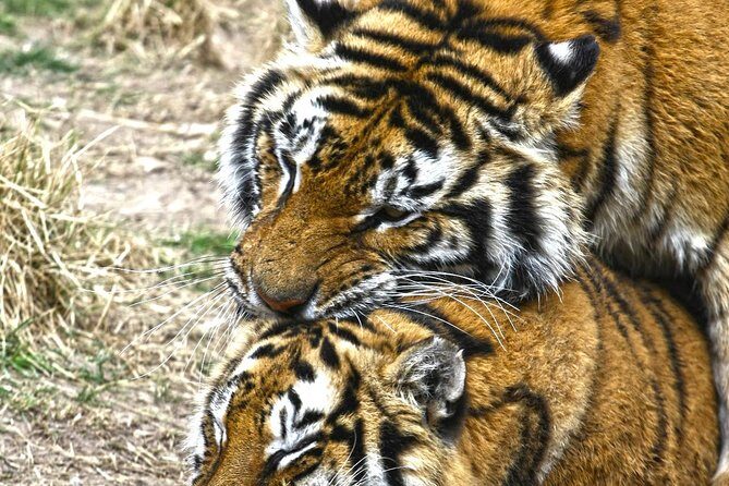 Terra Natura Benidorm Entrance Ticket - The Value of the Price