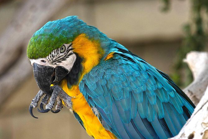 Terra Natura Benidorm Entrance Ticket - Final Thoughts