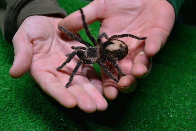 Terra Natura Benidorm Entrance Ticket - FAQ