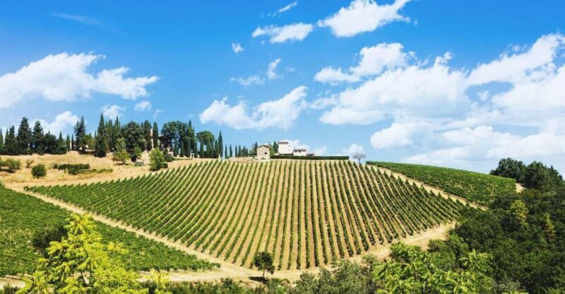 Terricciola Valdera E-Bike Tour + Wine Tasting, Photo Shoot - Key Points