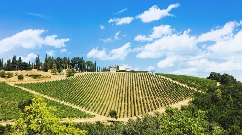 Terricciola Valdera E-Bike Tour + Wine Tasting, Photo Shoot - Pricing and Value