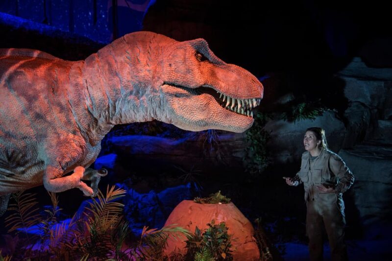 Teruel : Dinopólis Entry ticket - What to Expect on Your Visit