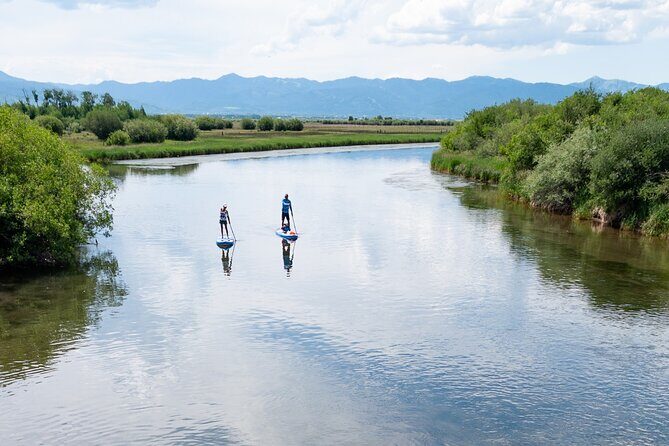 Teton River Paddleboard Adventure - 4.5 Miles - An In-Depth Look at the Teton River Paddleboard Adventure