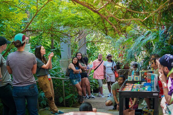 Texas Discovery Gardens General Admission - Key Points