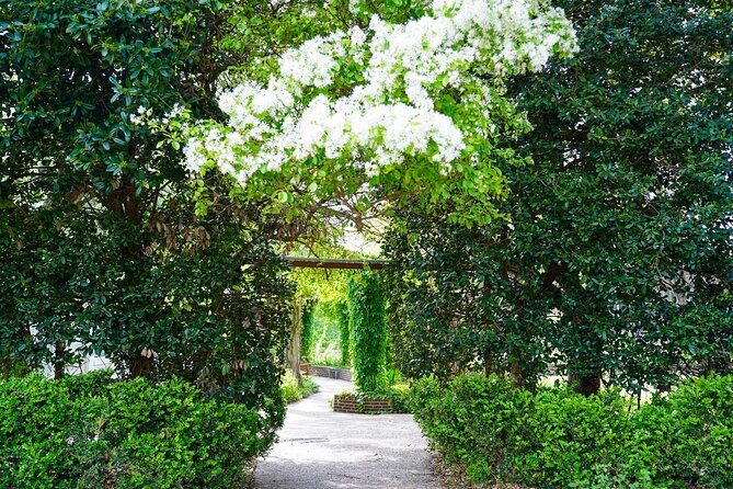 Texas Discovery Gardens General Admission - Who Will Love This Experience?