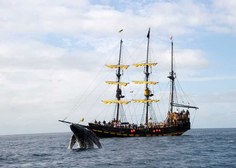 Thar She Blows! Whale Watching Pirate Cruise - FAQ