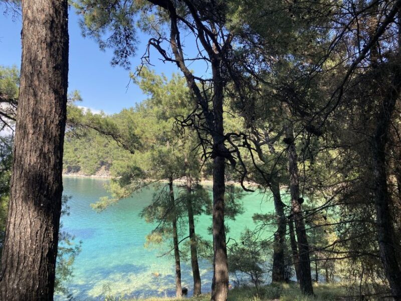 Thasos: Explore Secret Thassos - Tasting Authentic Thassian Cuisine