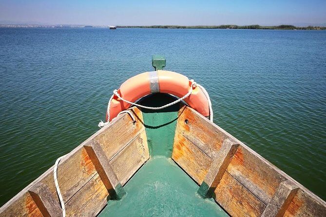 The Albufera Natural Park Private Tour from Valencia with transport - A Closer Look at the Albufera Natural Park Private Tour