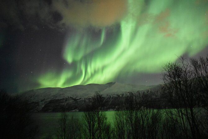 The Aurora Tour - small group, northern lights - What Happens During the Main Stop: Bonfire, Warm Drinks, and Snacks