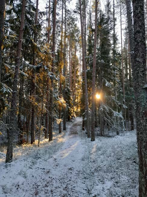 The Authentic Lahemaa daytour Carmen reisid - Key Points