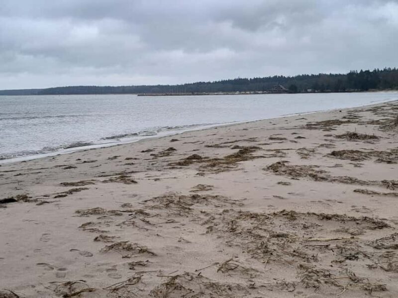 The Authentic Lahemaa daytour Carmen reisid - What to Expect on the Tour