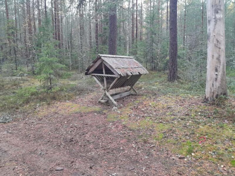 The Authentic Lahemaa daytour Carmen reisid - FAQ