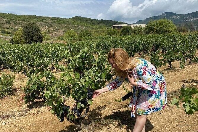 The Authentic Rioja Alavesa wine experiences - Exploring the Itinerary in Detail