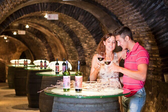The Authentic Rioja Alavesa wine experiences - Practical Details and What to Expect