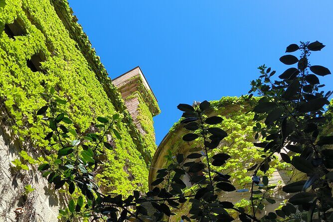 The Authentic Rioja Alavesa wine experiences - FAQs