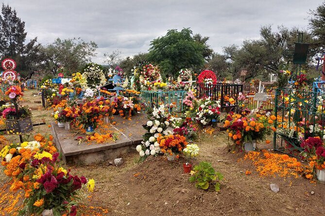 The authentic tour of the day of the dead in San Miguel d Allende - Key Points