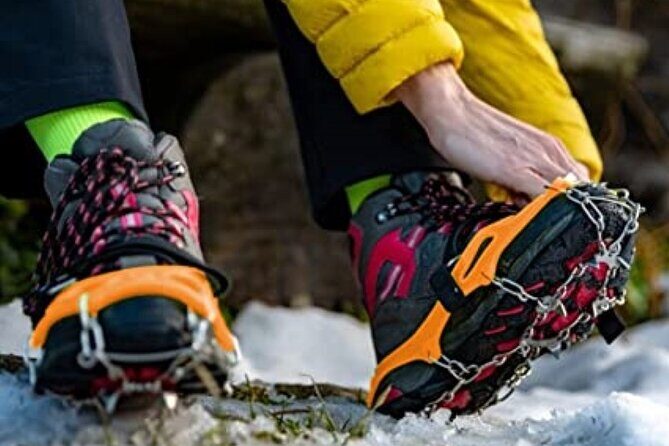 The BANFF NATURE Walk - 2hr Adventure - Gear, Group Size, and Logistics