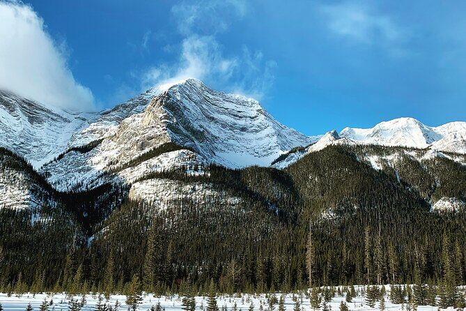 The BANFF NATURE Walk - 2hr Adventure - Who Is This Tour Best For?