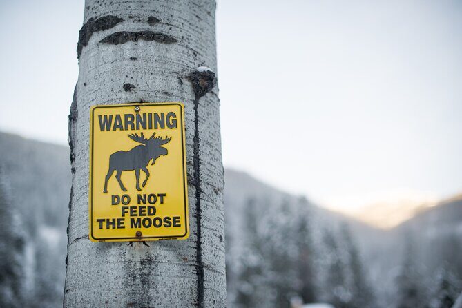 The BANFF NATURE Walk - 2hr Adventure - Final Thoughts