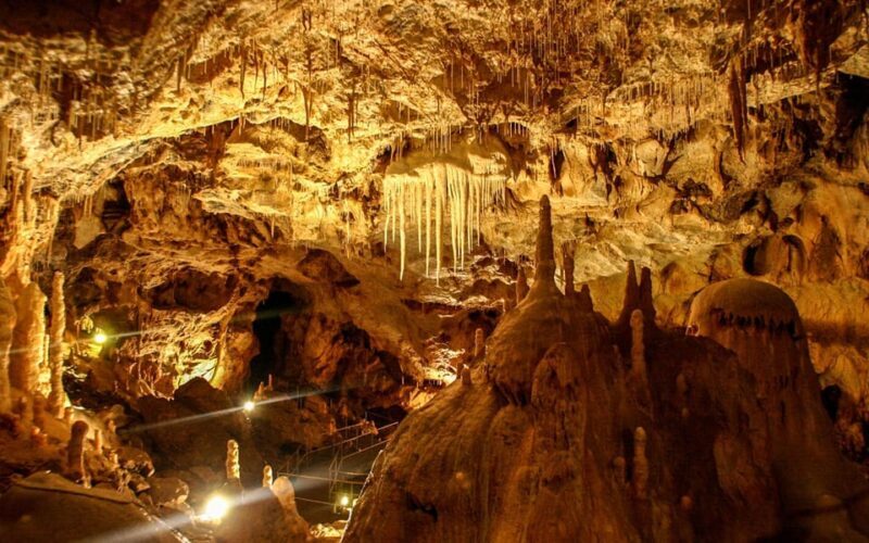 The Bear's cave: 1 day airconditioned car tour from Oradea - The Experience in Detail
