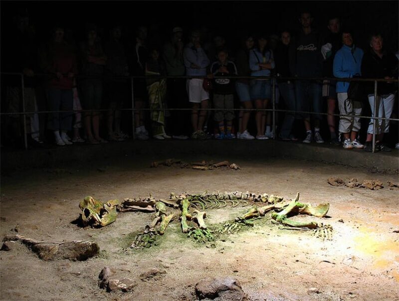 The Bear's cave: 1 day airconditioned car tour from Oradea - Who Will Love This Tour?