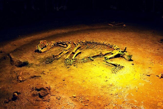 The Bear's Cave - One-Day Air conditioned car Tour from Oradea - The Itinerary in Detail