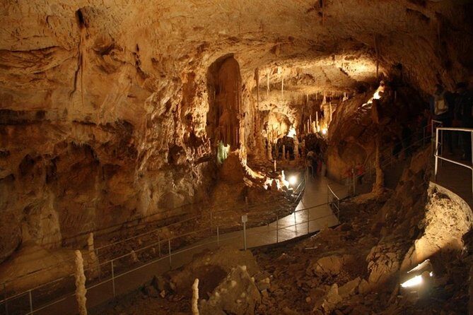 The Bear's Cave - One-Day Air conditioned car Tour from Oradea - Final Thoughts: Is This Tour Right for You?
