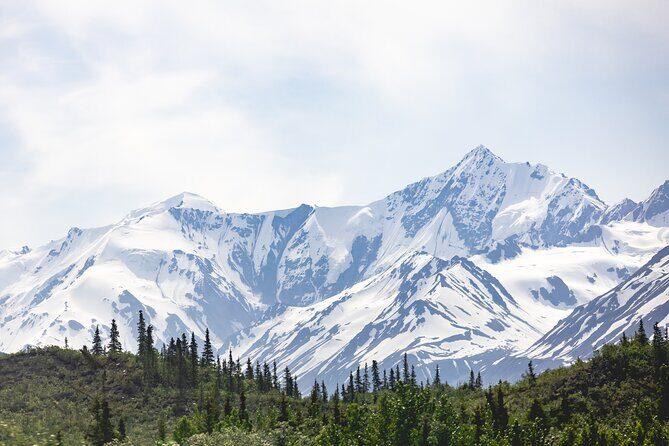 The Beauty of the North Tour - Exploring the Heart of Alaska in a Day