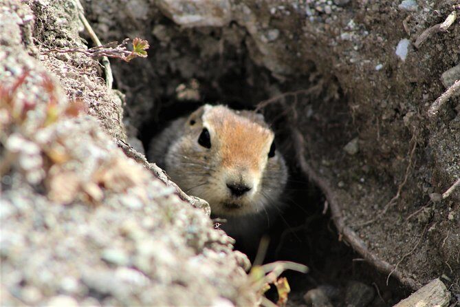 The Beauty of the North Tour - The Value of This Tour