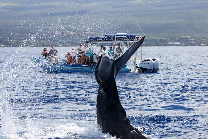 The Best 10 am 1.5 Hour Whale Watching Tour - Deep Dive Into the Experience