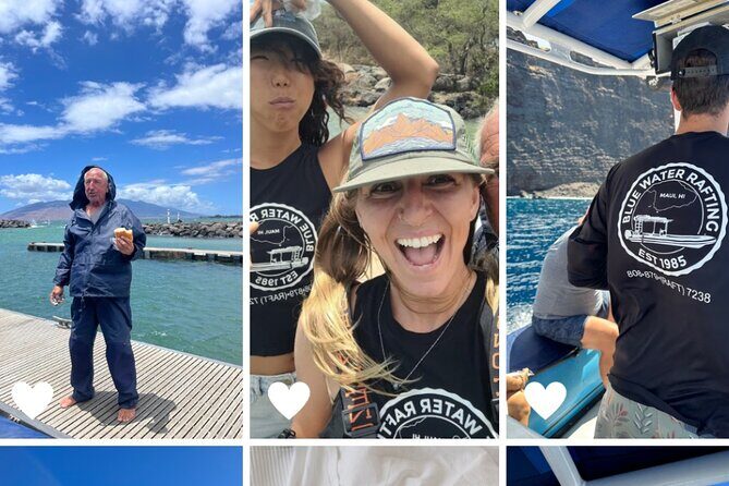 The Best 12 pm 1.5 Hour Whale Watching Tour - The Real Value in This Experience