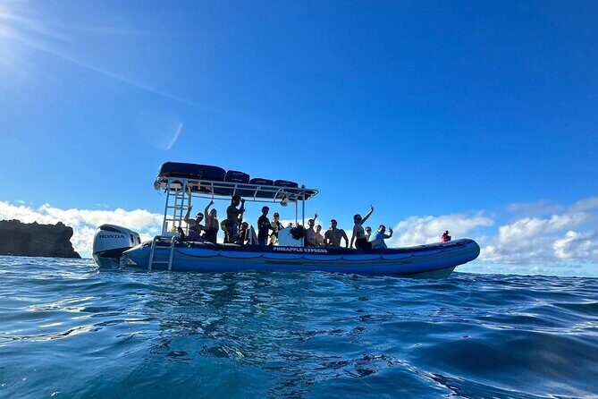 The Best 2.5 Hour Molokini Snorkel Tour & Whale Watch - Who Will Love This Tour?