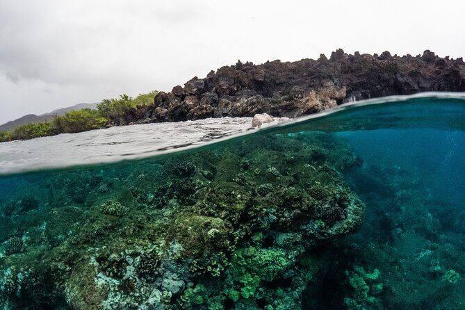 The Best 2.5 Hour Molokini Snorkel Tour & Whale Watch - Final Thoughts