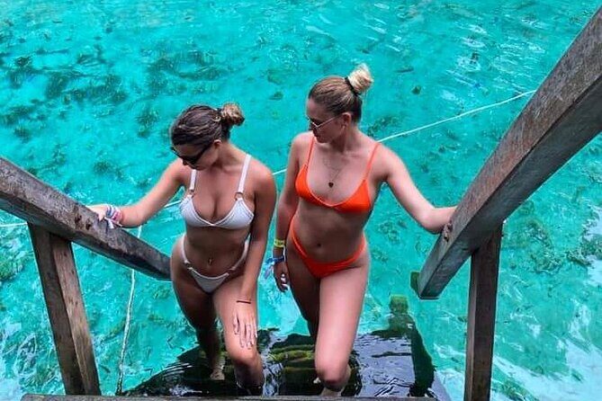 The Best Complete Tour 3 Cenotes, 1 Lagoon from Playa del Carmen - Key Points