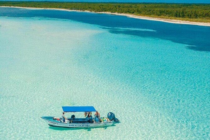 The Best Cozumel Snorkeling Tour Palancar, Colombia and El Cielo Reefs - A Closer Look at the Tour