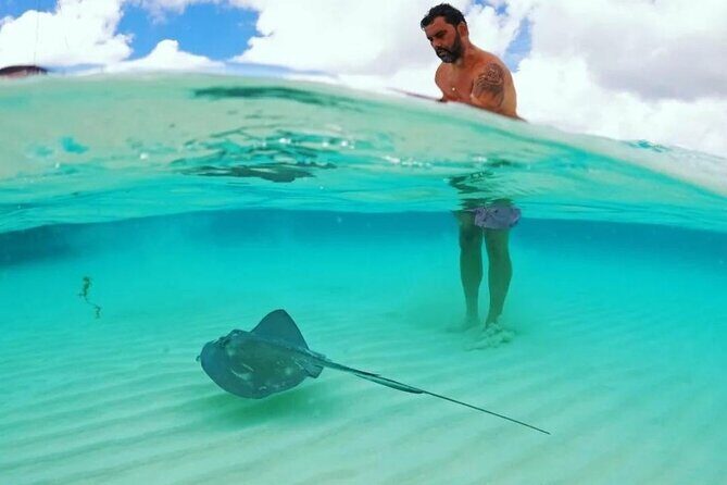 The Best Cozumel Snorkeling Tour Palancar, Colombia and El Cielo Reefs - Frequently Asked Questions