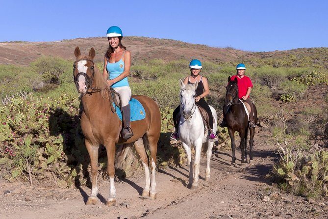 The Best Horse Riding Experience in Gran Canaria (1 hour) - A Practical Look at the Best Horse Riding Experience in Gran Canaria