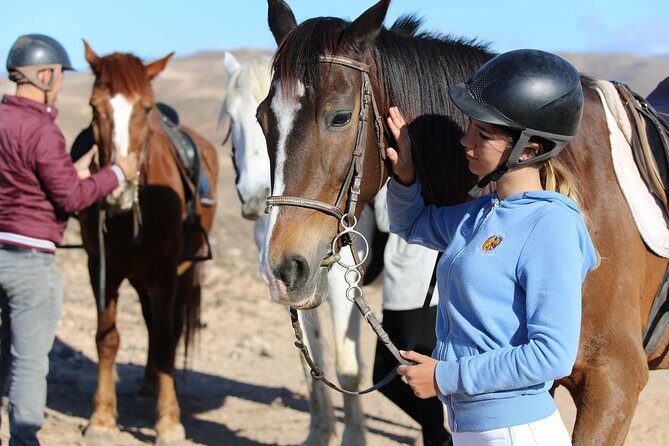The Best Horse Riding Experience in Gran Canaria (1 hour) - Key Points