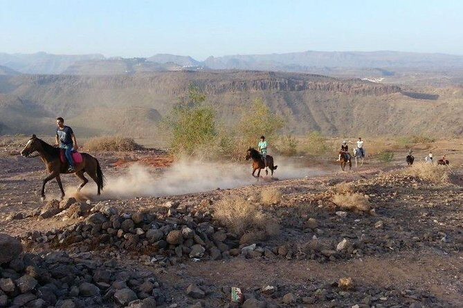 The Best Horse Riding Experience in Gran Canaria (1 hour) - Frequently Asked Questions